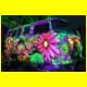 T2b Hippie-Bus unter Schwarzlicht.html